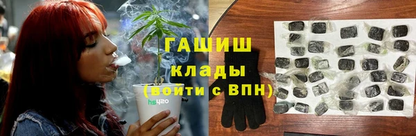 крисы Абаза