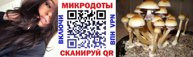 Галлюциногенные грибы GOLDEN TEACHER  Фрязино 